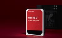 WD 8TB  RED PLUS WD80EFPX (3 YIL RESMI DIST GARANTILI)